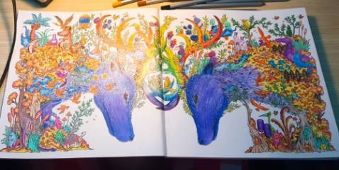 Hàng được đóng gói CỰC KỲ CẨN THẬN, được bọc mút mềm nữa, lần đầu thấy sách được gói kỹ đến vậy. Giấy dày, tô màu đã tay, ăn màu chì. Về ảnh vẽ thì hài lòng hơn cả hài lòng. Bất ngờ hơn nữa là mình còn có thể vẽ thêm và có 1 trò chơi nho nhỏ do tác giả tạo ra. Tô theo chi tiết giúp mình tập kiên nhẫn hơn. Sách mua khi có đợt sale nên thấy quá lời so với chất lượng nhận được.