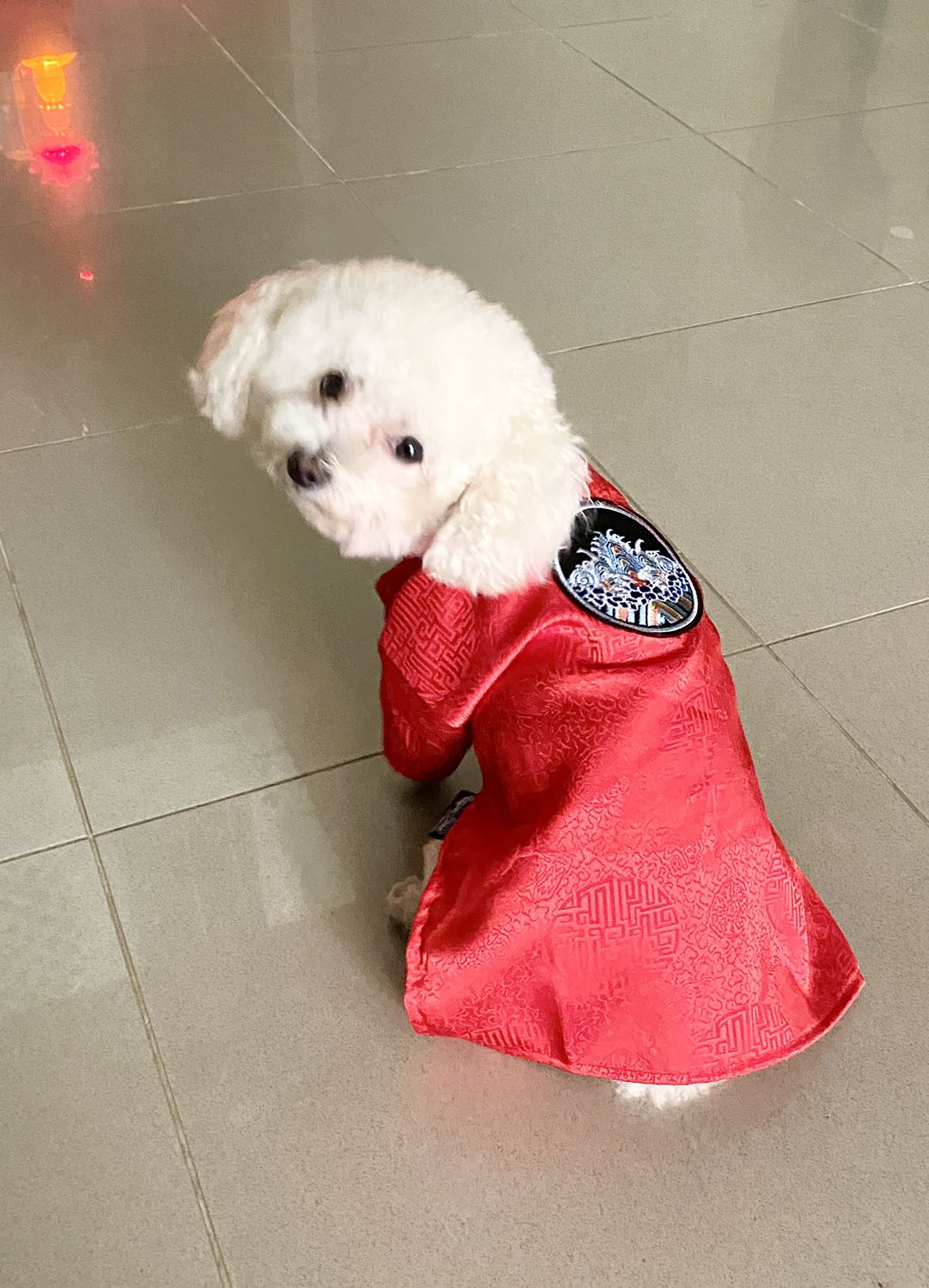 Giao hàng nhanh, date xa Giao hàng nhanh, date xa