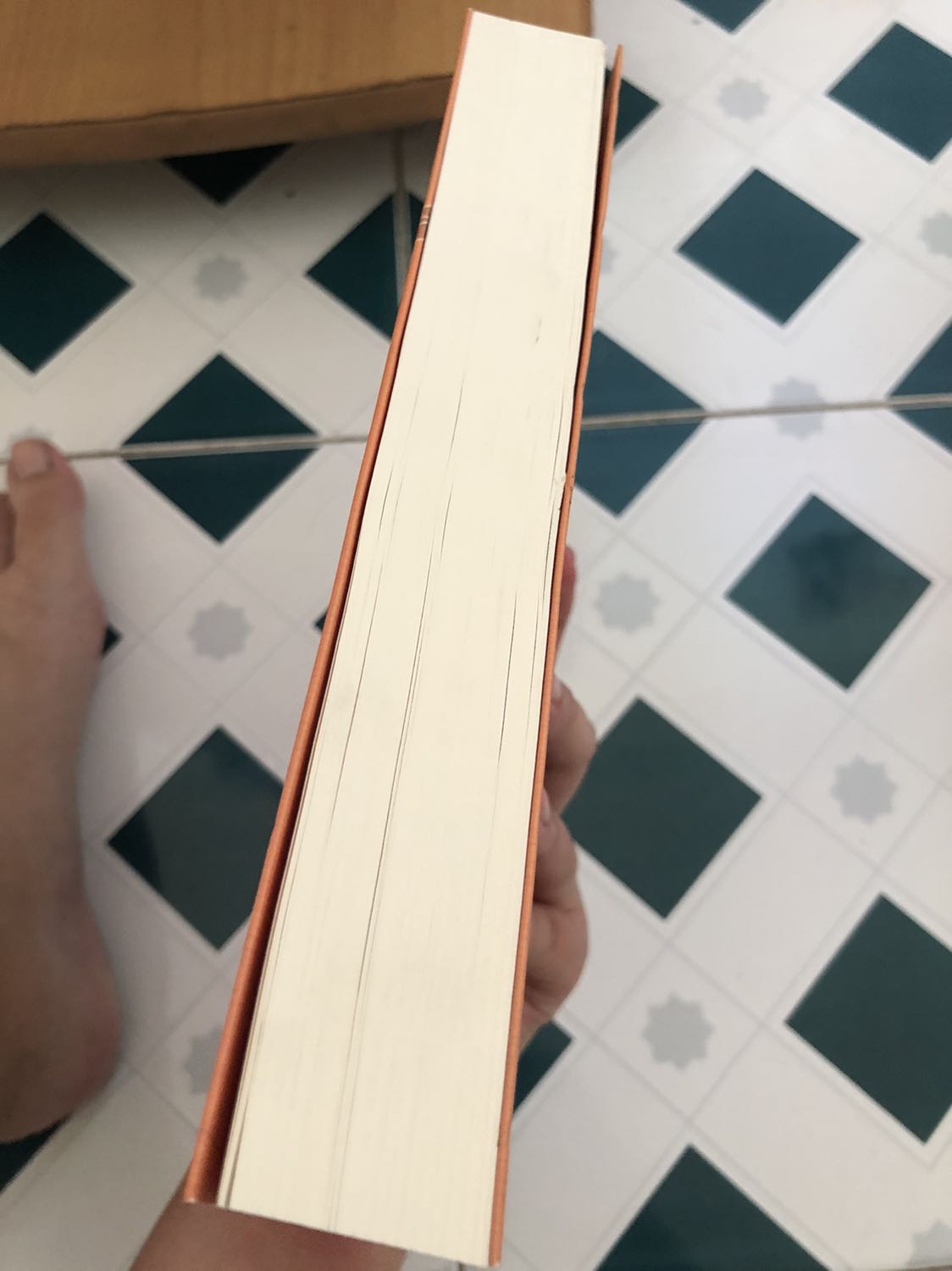 Bìa đẹp. Truyện hay, gay cấn, tình tiết vồn vập, hấp dẫn. Văn phong bình dị, gần gũi, tuy rằng đôi lúc lòng vòng, “tell” nhiều hơn “show” (kiểu là thay vì mô tả không khí rùng rợn, tác huỵch toẹt nói là không khí rùng rợn luôn. Tác dùng pp này rất nhiều và xuyên suốt).

Tiki giao rất nhanh, bị cái không bọc ni lông hay chống xốc gì. Sách hơi bụi.