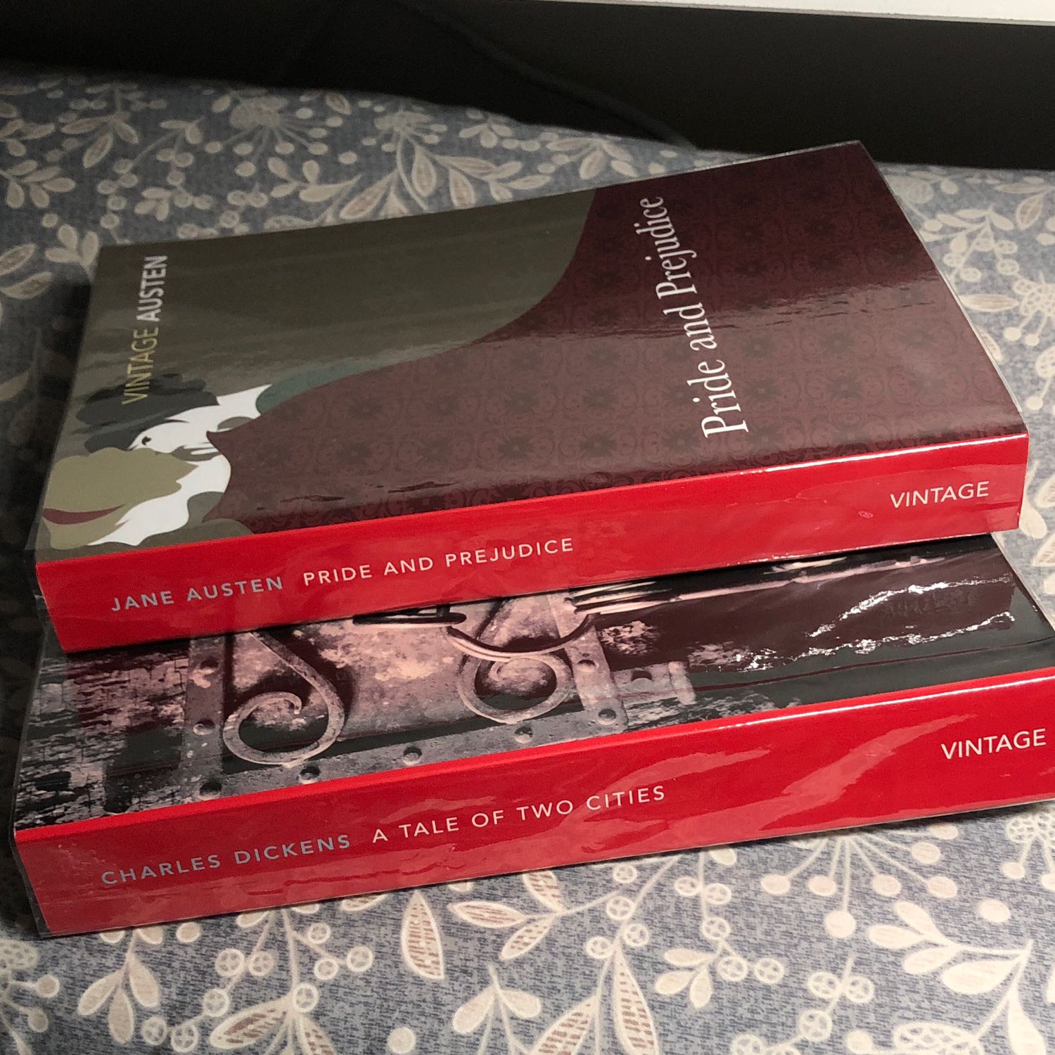 Mình thích bộ Vintage Classics vô cùng luôn. Gáy đỏ rất khác biệt. Nhiều sách phết rồi nhưng cứ muốn mua nữa để sưu tầm. Còn Austen thì khỏi chê rồi, mình đọc lần này là lần thứ 3 mà vẫn tìm ra được nhiều ngụ ý đánh giá của tác giả về thời kỳ Romanticism.