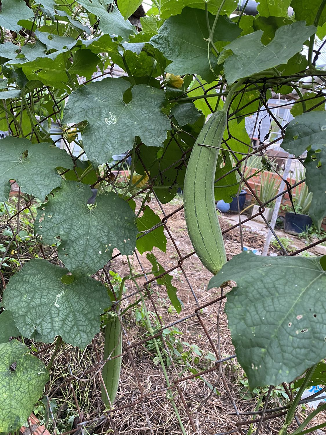 Giao hàng nhanh, gói hàng cẩn thận. Shop chuyên nghiệp, hàng quá tốt, giá lại rẻ, xài bền lắm.