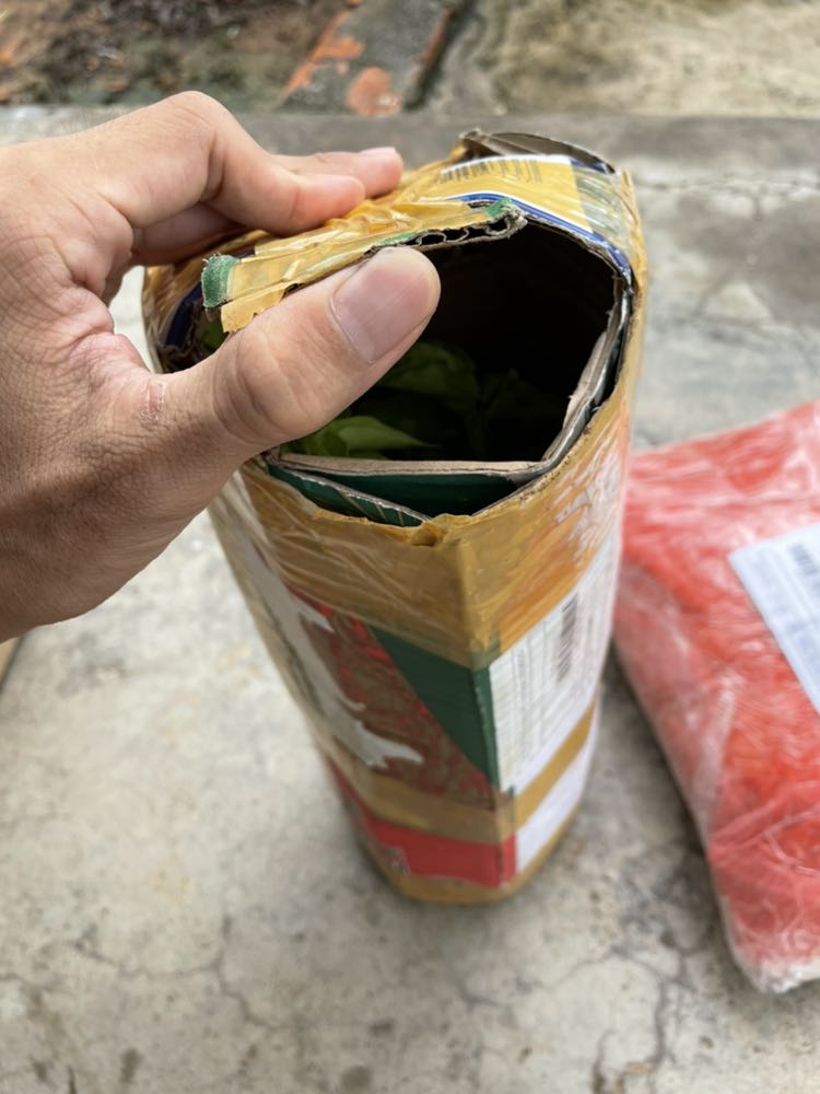 Sản phẩm đã nhận được, còn tươi, có điều cây hơi nhỏ. Chờ ngày ra hoa. Sản phẩm đã nhận được, còn tươi, có điều cây hơi nhỏ. Chờ ngày ra hoa.