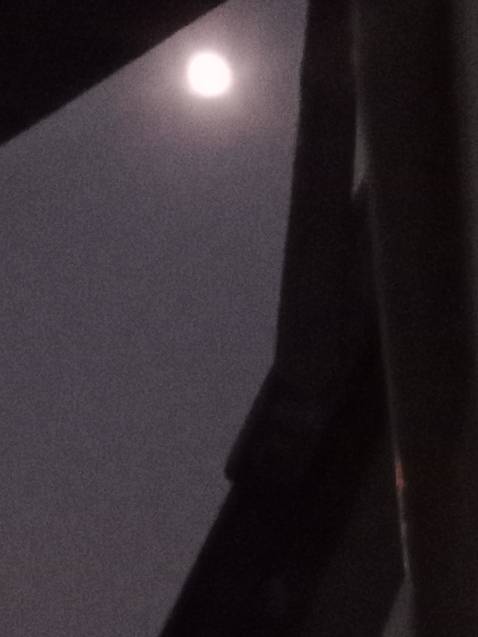 Sách chỉ bé bằng lòng bàn tay thôi , đút túi quần rất vừa nhaa