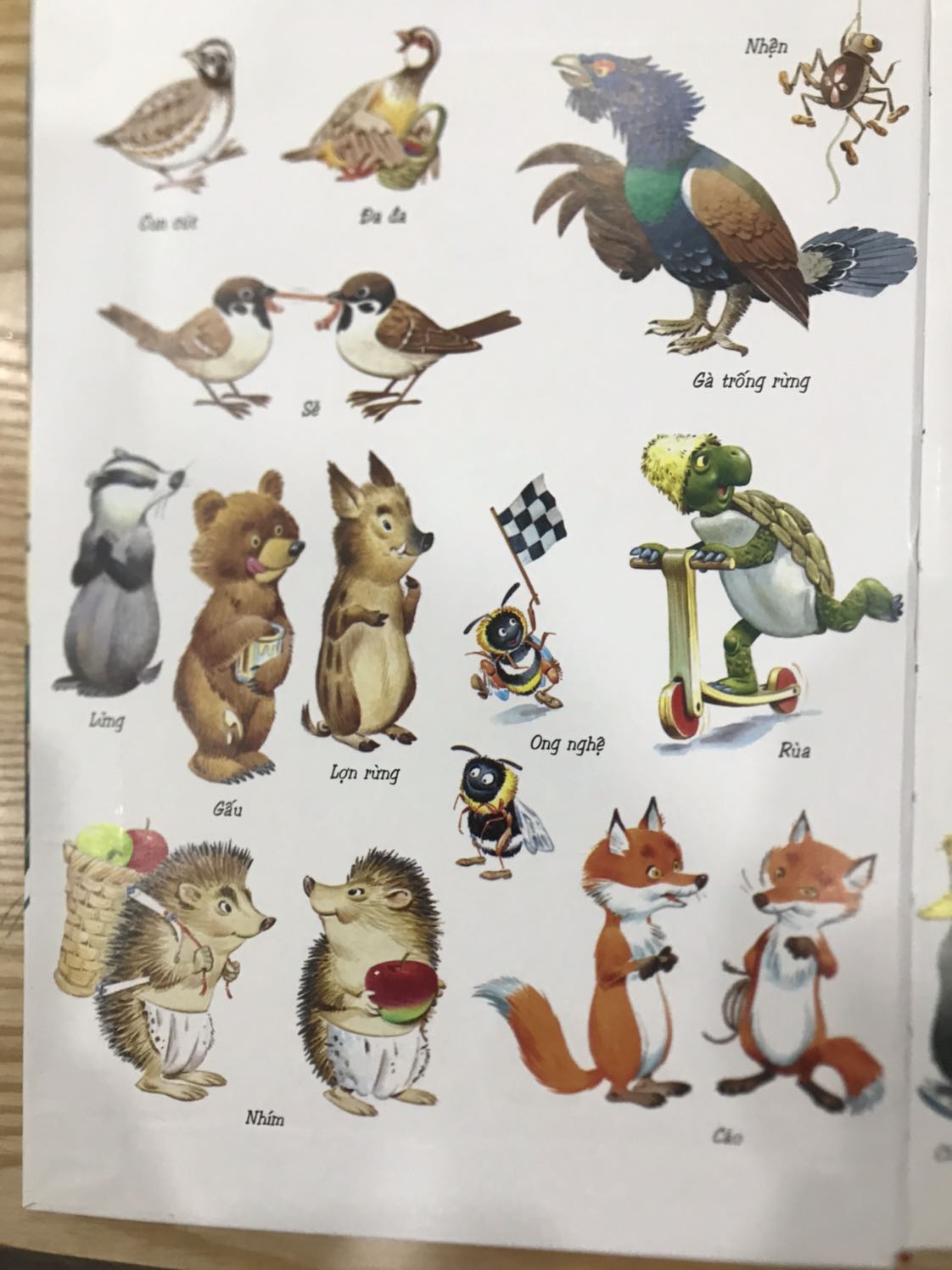 Sách khổ to, đẹp. But các câu truyện nhiều chữ nên phù hợp với các bé cấp 1 hơn là mẫu giáo.