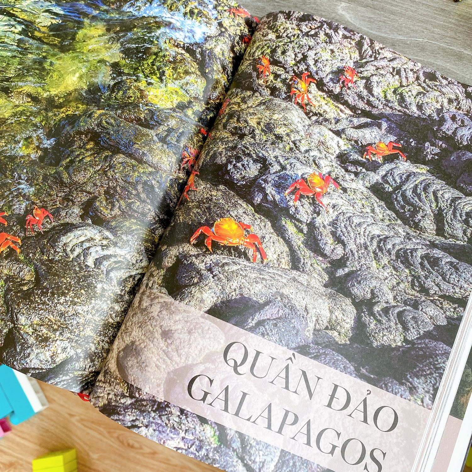 Nội dung sách hay cực kì. Màu sắc in rất đẹp. Nhưng chất lượng đóng sách tệ. Dễ bung chỉ. Mang về ngày đầu đã bung chỉ, phải lấy băng keo dán.