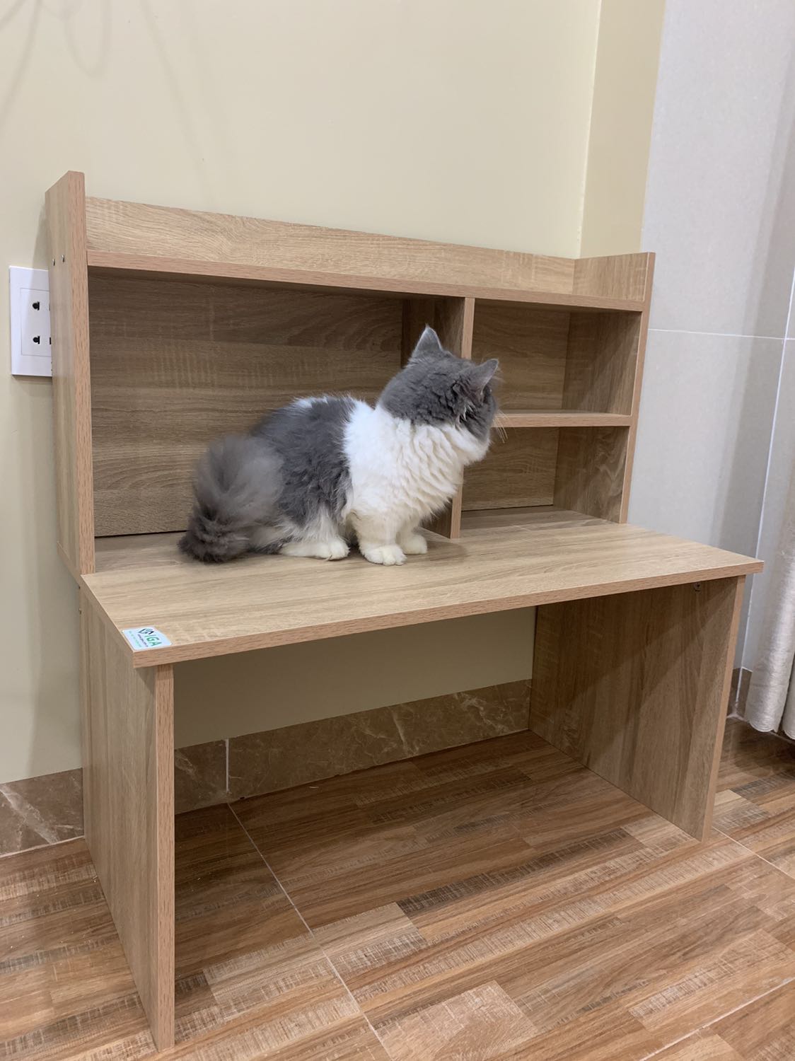 Đối với 1 đứa con gái như mình thì mình đã gáp đóng ên trong vòng 1 tiếng 28 phút. Mọi người nên mua nhé. Rất đẹp và đáng tiền. Chủ shop cũng rất dễ thương nữa. Đối với 1 đứa con gái như mình thì mình đã gáp đóng ên trong vòng 1 tiếng 28 phút. Mọi người nên mua nhé. Rất đẹp và đáng tiền. Chủ shop cũng rất dễ thương nữa.