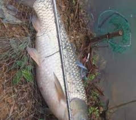 Chất lượng sản phẩm ok , cháu mình rất thích .