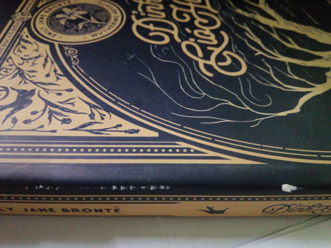 Mình đã nhận đuọec hàng hôm nay, rất hí hửng mở ra xem nhưng lại vô cùng thất vọng khi phát hiện ra chất lượng của sách vô cùng kém, có trang bị rách, bìa thì nát và gáy sách có vài vết như thể bị xây xước. Nói chung là chất lượng rất lượng rất tồi, cực kì không hài lòng.