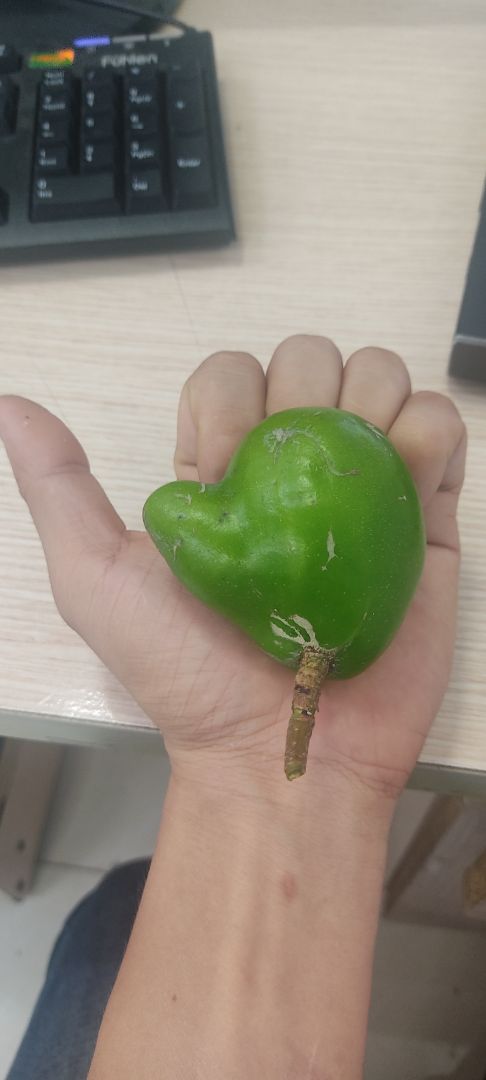 Quá chán,đúng là bán hàng trên mạng.đăng 1 kiểu,bán 1 kiểu