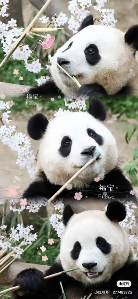 Hương vị thơm ngon