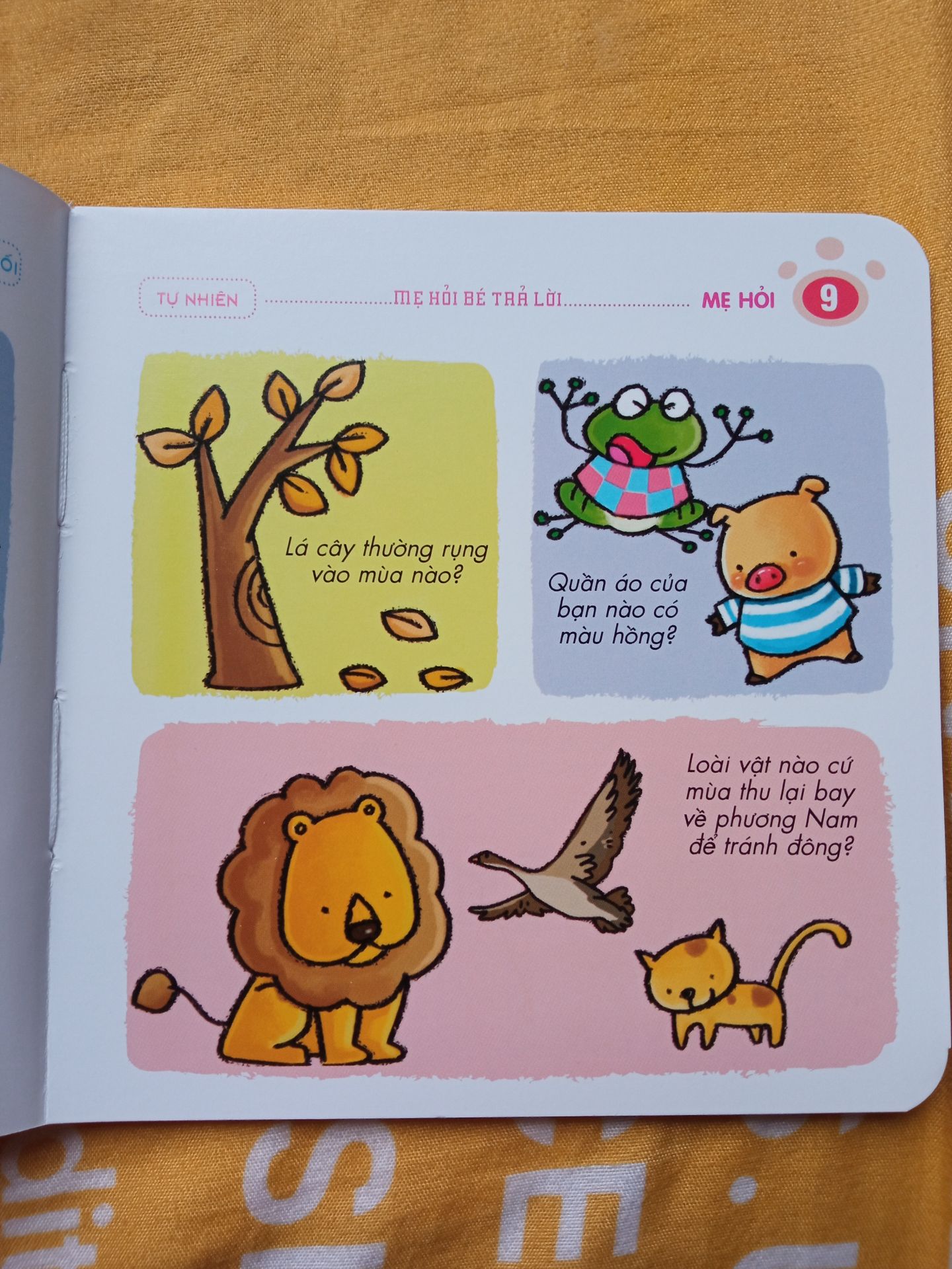 Sách viết về nhiều chủ điểm cho trẻ,nhưng nhiều câu hỏi hơi khó cho trẻ 2-3 tuổi. Bố mẹ nên đọc thêm nhiều các sách khác cho con thì còn mới trả lời được. Nhược điểm là sách hơi nhỏ.