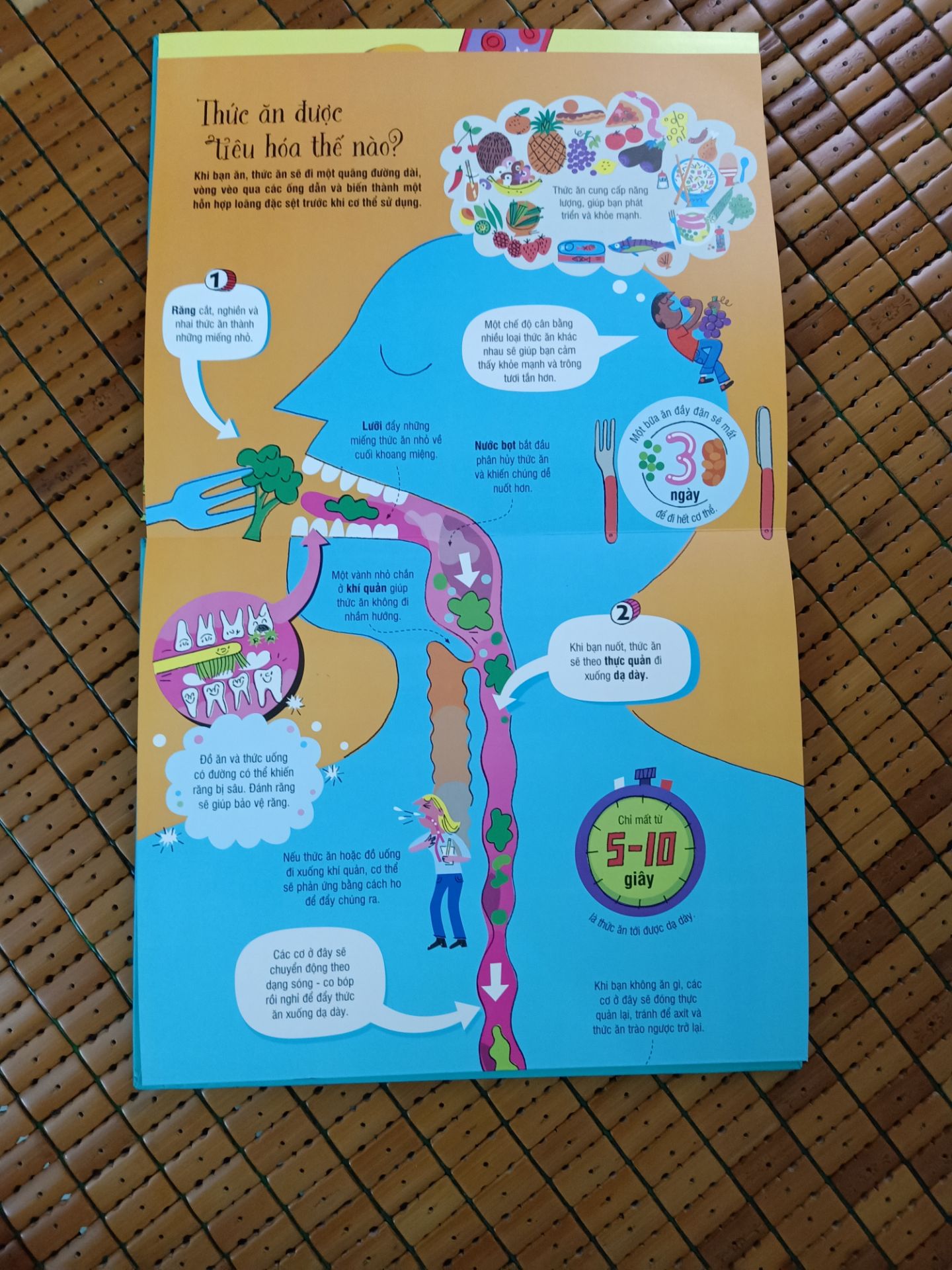 mình rất hài lòng với quyển sách này khổ sách to chất giấy cực kỳ đẹp dày dặn màu sắc tươi sáng giải thích hình minh họa sinh động hấp dẫn các bé nhà mình rất thích