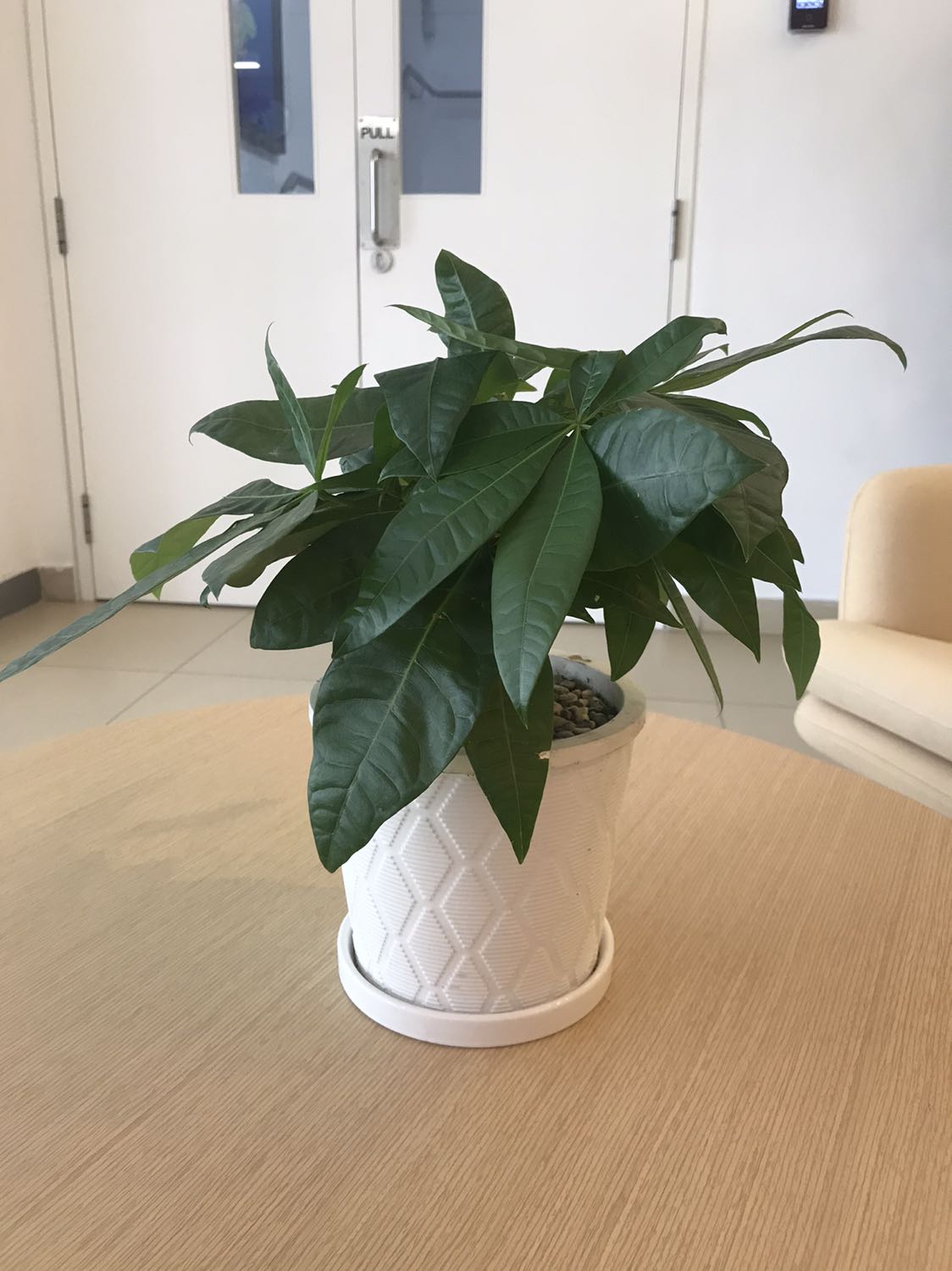 Chưa sử dụng chưa biết chất lượng, nhưng ngoại hình ok, giao hàng ổn