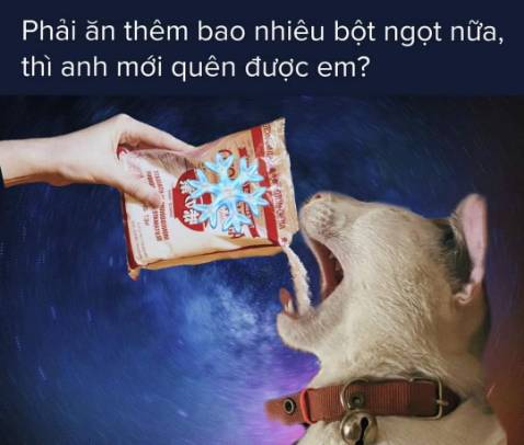 Giao hàng nhanh sáng đặt chiều giao sách nguyên vẹn