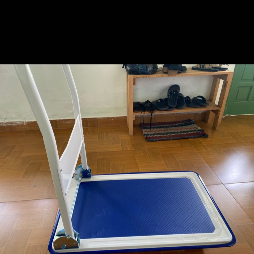 Xe đẩy hàng giao đúng mẫu, cứng cáp, lắp ráp dễ dàng, bánh xe to, nên mua nhen