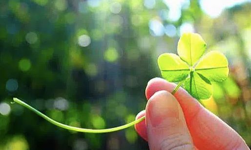 Shop giao đủ và đúng sách mình đã đặt. Giao hàng nhanh, đánh giá shop 5 sao nhé