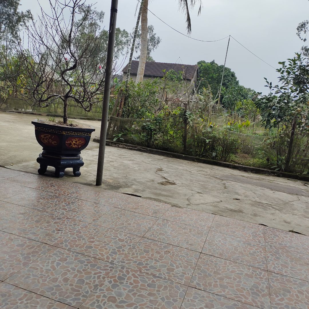 Máy êm sử dụng tốt, shop giao hàng nhanh chóng, đóng gói kyz Máy êm sử dụng tốt, shop giao hàng nhanh chóng, đóng gói kyz