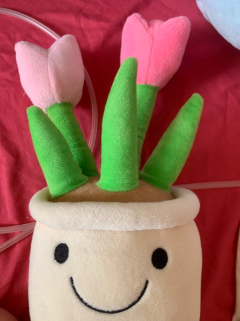 Chất lượng tốt, giá thành hợp lý, ship nhanh chóng