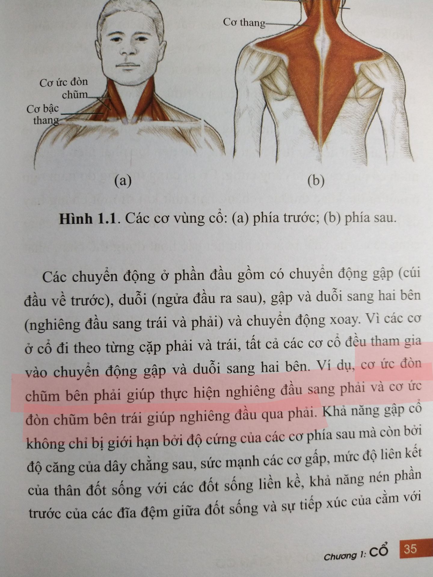 Mới đọc vài trang nhưng phát hiện lỗi về hình thức và nội dung, mong nhà xuất bản có thể xem xét lại và chỉnh sửa. Và giãn cơ thì chưa thấy nêu rõ thời gian thực hiện mỗi động tác hoặc số lần. Sách nhẹ, trang giấy mịn, nhà sách đóng gói kỹ, giao hàng nhanh nên cho 4 sao.