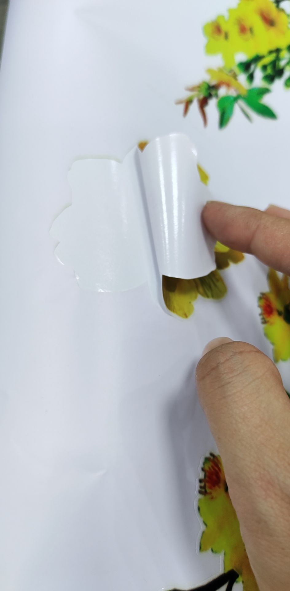 treo đầu dê bán thịt ***, ảnh mẫu là decal trong đến khi giao về là decal đục.