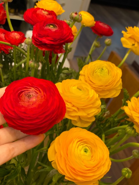 Bút tốt, shop tận tâm chu đáo. Sẽ quay lại mua thêm văn phòng phẩm 🫶