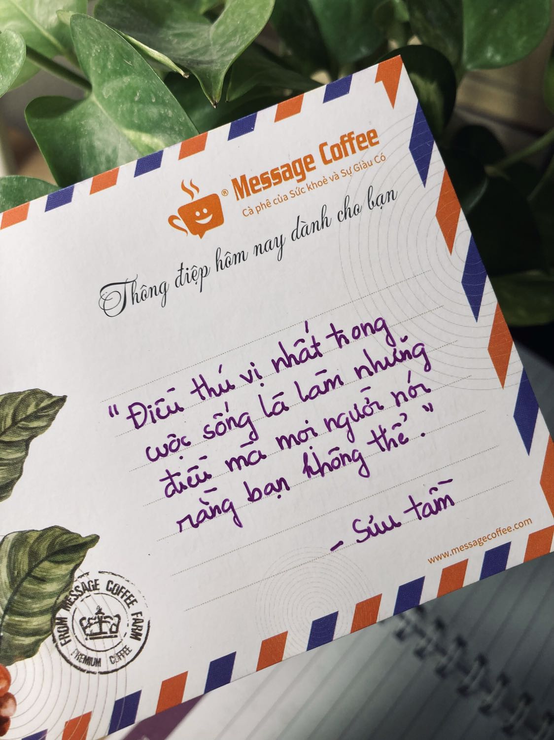 Mình nhận được cafe rất nhanh. Thật bất ngờ khi mở gói cafe và nhận được thông điệp. Quả thật các bạn rất biết cách lấy lòng khách hàng và thực sự là các bạn đã làm mình rất rất hài lòng. Từ bao bì, đóng gói, thông điệp đến chất lượng cafe. Mình định để hôm sau pha nhưng rất tò mò nên phải pha ngay 1 ly. Hoàn toàn là cafe nguyên chất, thơm một cách vốn dĩ rất cafe. Hoàn toàn không có hương liệu khác như bơ hay bắp. Khi pha và nếm thử đúng đắng và có vị chua nhẹ. Mình rất hài lòng với chất lượng cafe này. Nhân tiện có mùa vải, làm ngay một ky cafe ủ lạnh với vải tươi, thật là tuyệt vời. Mình sẽ dùng tiếp các sản phẩm từ các bạn và rất sẵn lòng giới thiệu cho bạn bè.