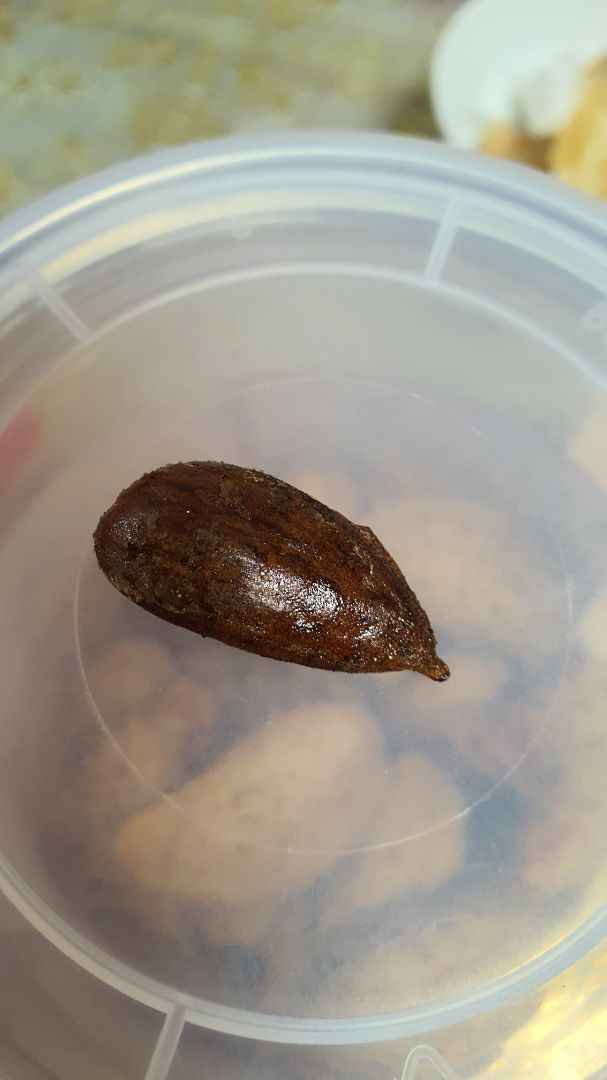 sản phẩm kém chất lượng, không có hạn sử dụng