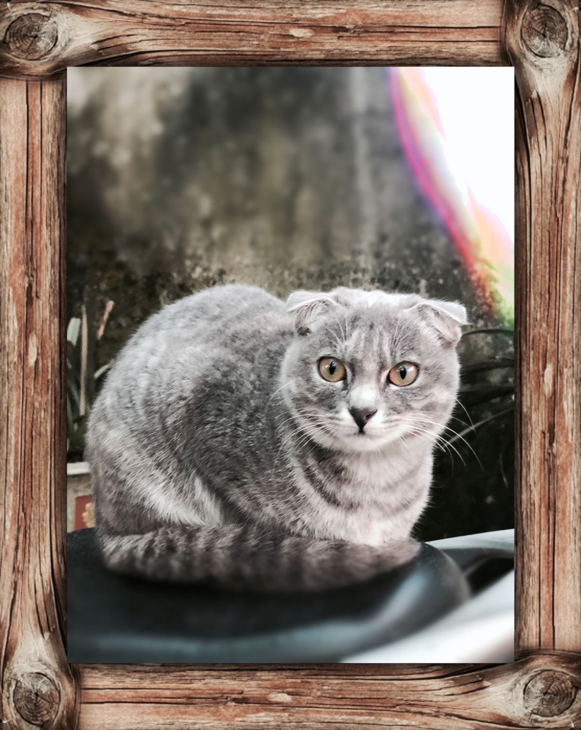 Hàng ok. Giao nhanh, đóng hàng cẩn thận Hàng ok. Giao nhanh, đóng hàng cẩn thận