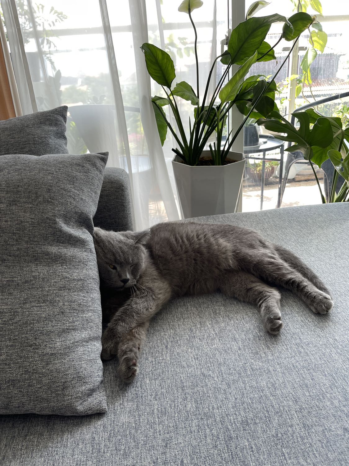 Giao hàng rất nhanh, đóng gói cẩn thận, kỹ càng, hàng chất lượng tốt, giá tương đối tốt, cảm ơn shop nhiều nha.