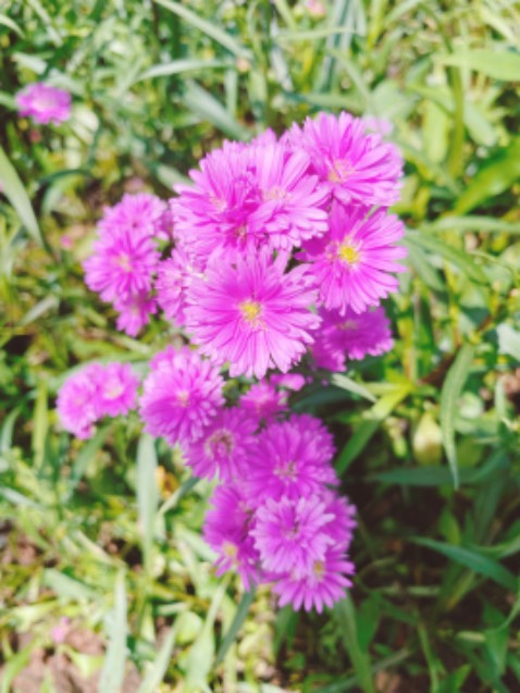 Đóng gói chắc chắn, sách không bị nhăn, màu sách đẹp, nôin dung khá hay. Sẽ tiếp tục ủng hộ shop ạ.