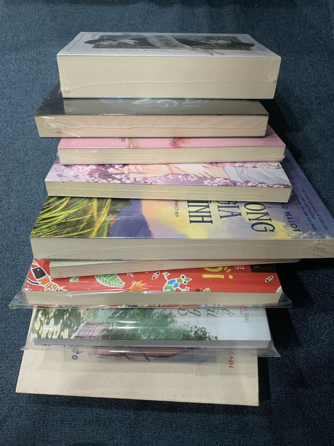 Đây là số sách mà tôi mua tặng cho chị bạn của mình đang ở nước ngoài ❣️
Có một số quyển tôi đã đọc qua và một số thì chưa, nhưng nhìn bề ngoài thì chất lượng giấy, bìa được bao bọc cẩn thận. Mọi thứ đều hoàn hảo 🔜 mong là chị nhận được sẽ vui khi đọc được những dòng chữ tiếng Việt thân thương của mình ❣️