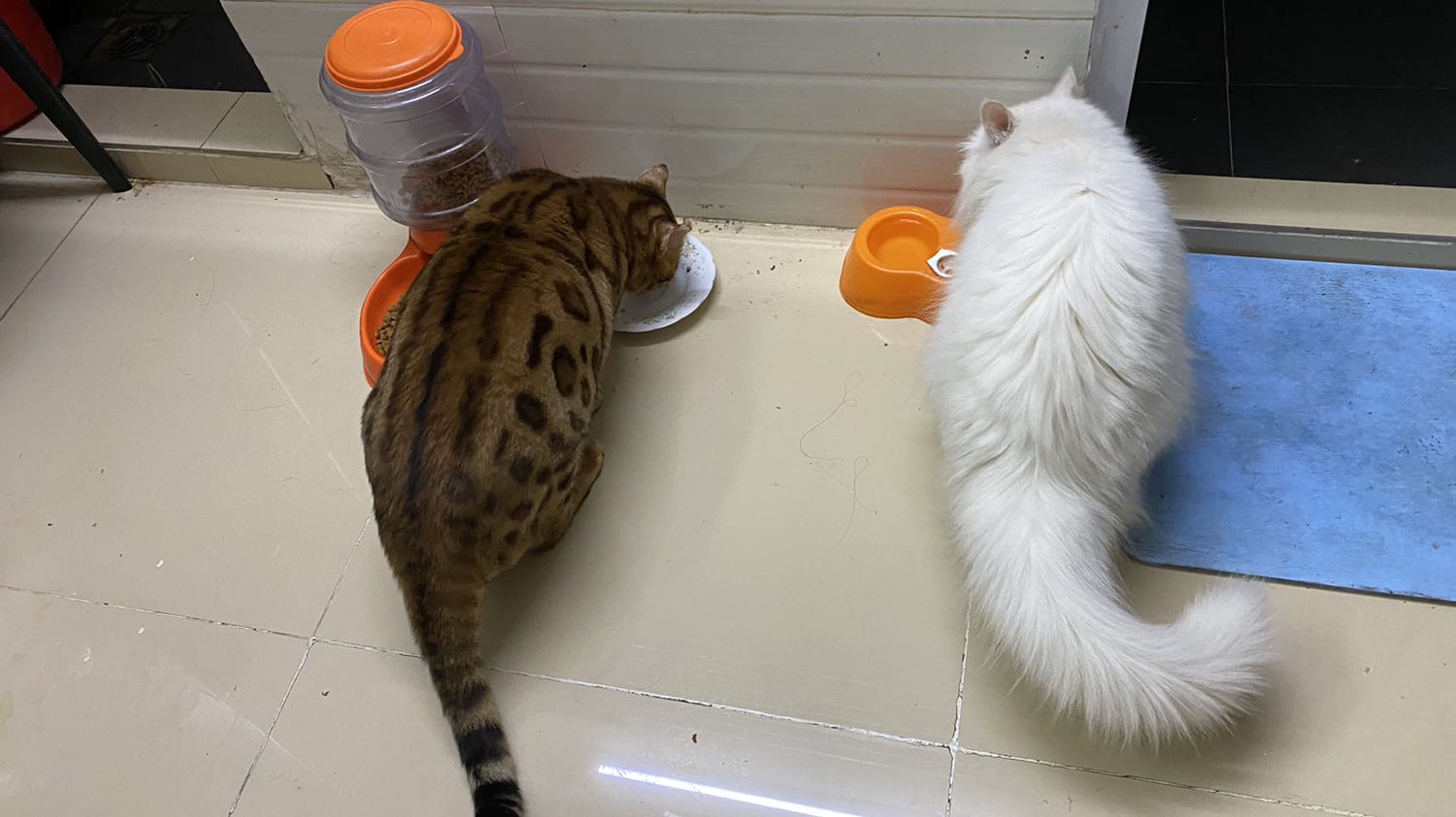 Kem dưỡng mắt hơi nhờn một chút, nhưng xài tốt. Kem dưỡng mắt hơi nhờn một chút, nhưng xài tốt.