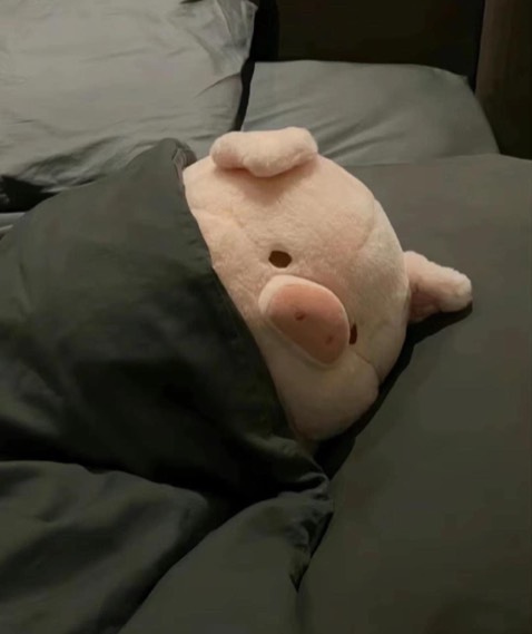 Sản phẩm chắc chắn bền đẹp ok ổn ạ