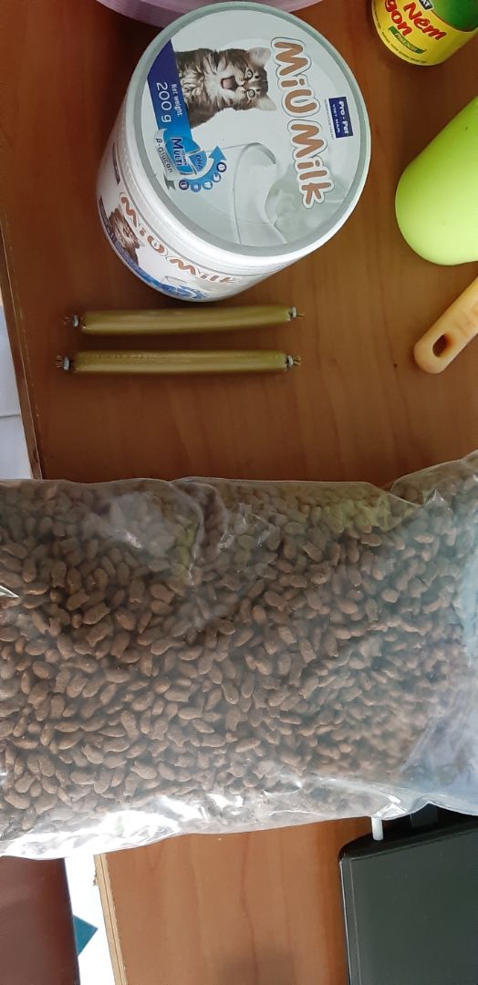 Hạt hợp khẩu vị mèo. Mèo ăn rất ngon, thích.. Hạt hợp khẩu vị mèo. Mèo ăn rất ngon, thích..