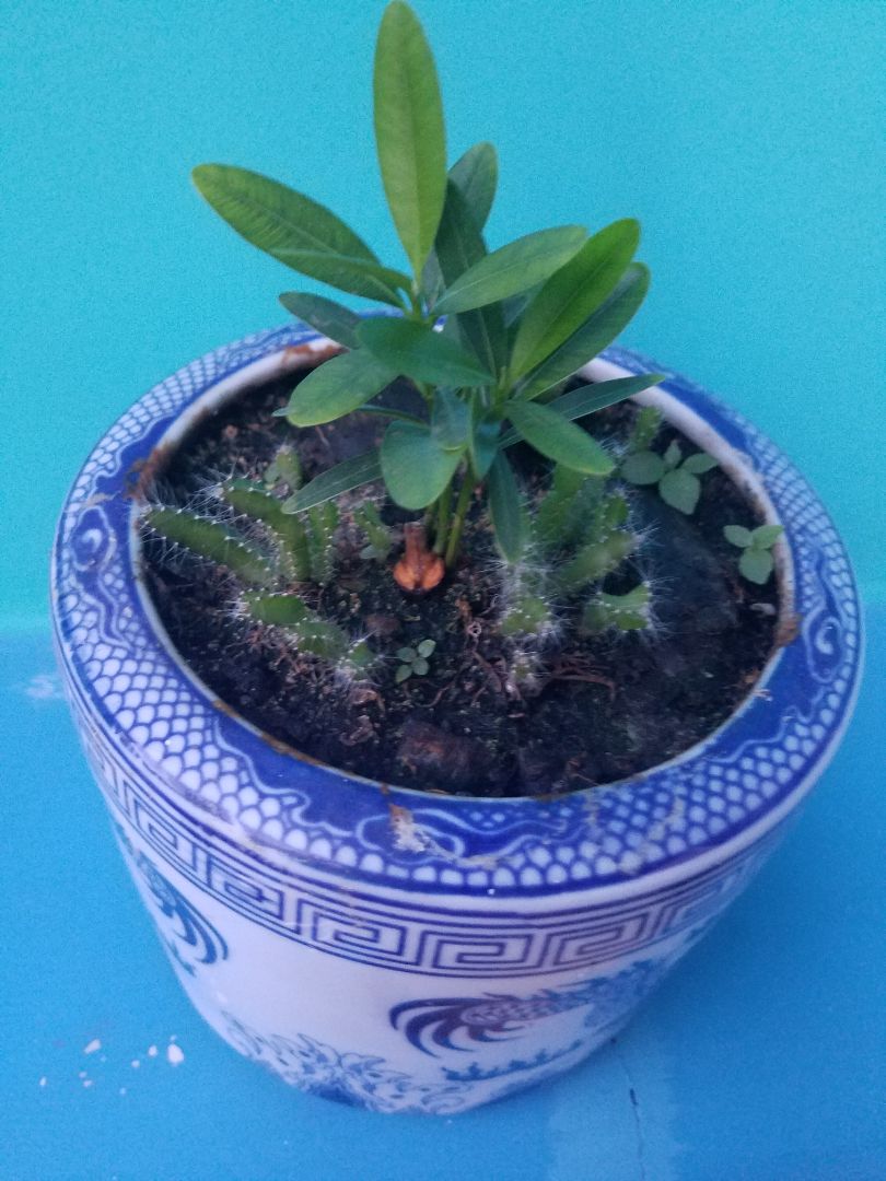 Hàng đúng chất lượng