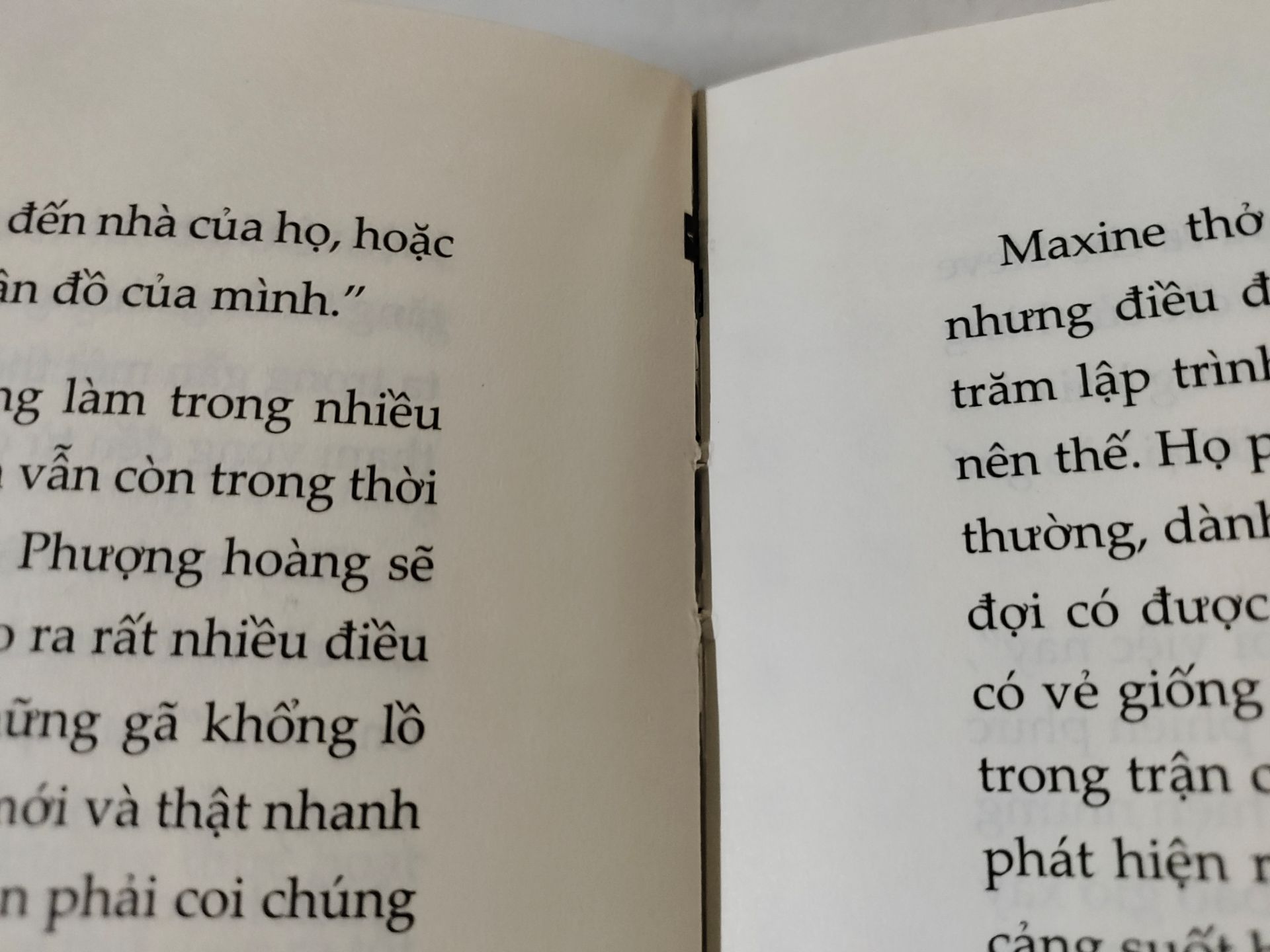 Sách chủ yếu viết về cách làm việc, công việc của lập trình viên, môi trường làm việc, các lí tưởng để xây dựng và làm việc hiệu quả, khơi dậy sự tận tâm, hứng khởi. Sử dụng nhiều thuật ngữ chuyên ngành IT, sẽ rất thú vị nếu tìm hiểu kỹ càng được hết chúng. Lời văn dễ hiểu. Về hình thức, keo dán sách ko chắc chắn lắm nên đã bung sau 3-4 lần đọc