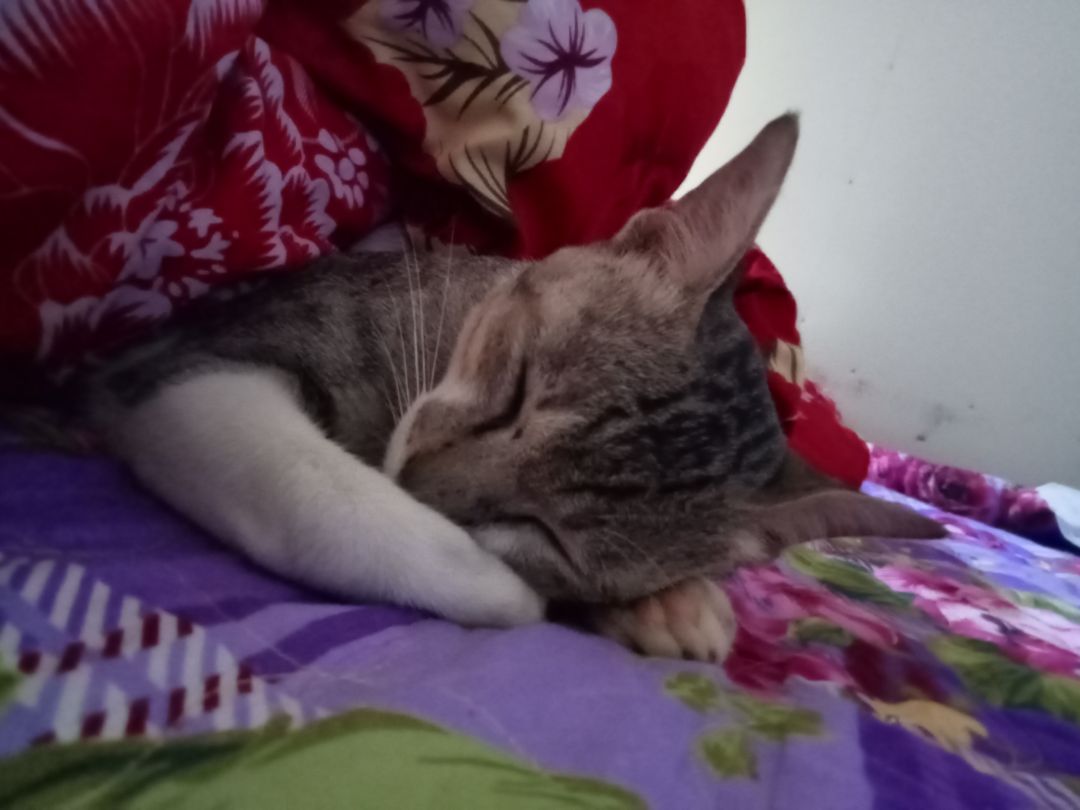 sp đóng gói chắc chắn, còn về chất lượng chưa dùng nên chưa biết có hiệu quả hay không thời gian sẽ đánh giá chất lượng sau