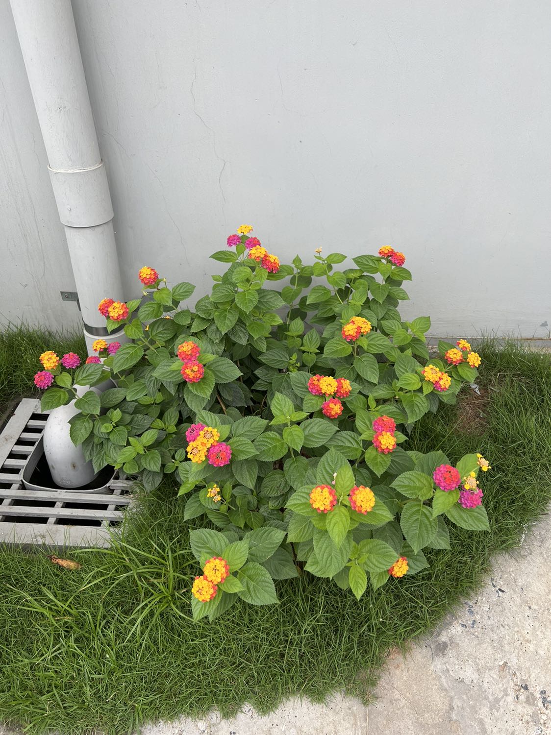 Sách đúng như mình nhìn trên Web