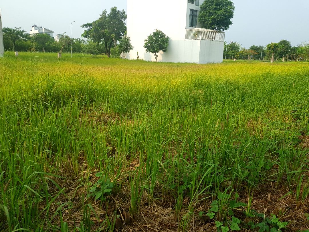 Mình mua 3.cục chuyển điện, thì 1 cục bị bể.
Vui lòng hổ trợ giúp mình, bơit vì sản phẩm đóng gói trong bao.kín mình tháo ra là phát hiện bị nứt 1 cục chuyển điện như hình ảnh