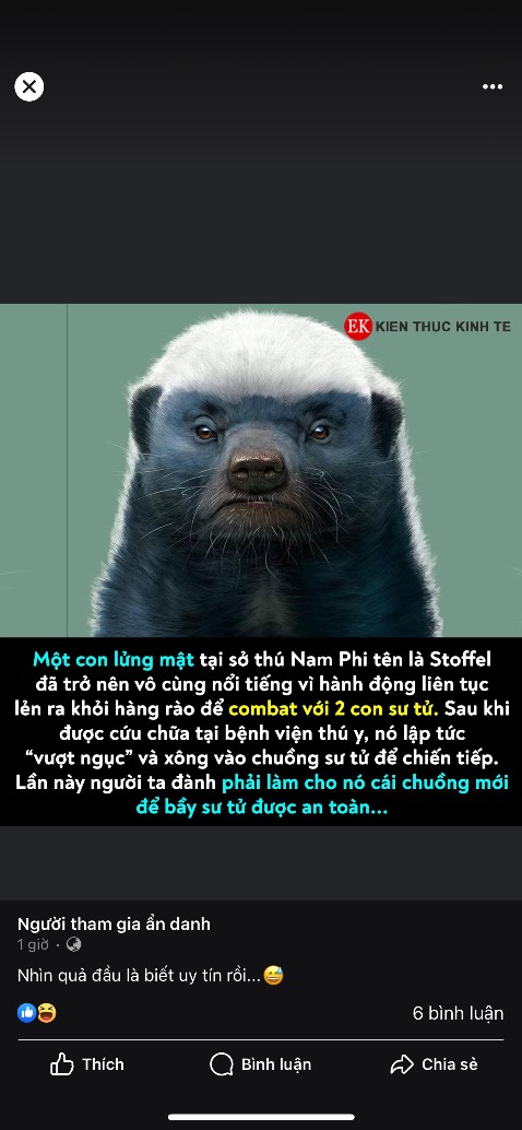 Ngon, đóng gói cẩn thận,