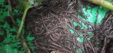 Shop giao hàng nhanh , ổn , hợp giá tiền