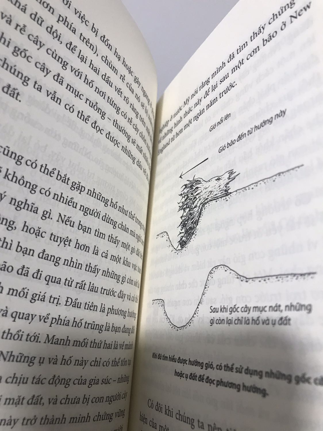 Đợt này tiki giao hàng nhanh trở lại, nhanh hơn tgian dự kiến trên app. Sách này rất đáng đồng tiền bát gạo, bìa rất đẹp. Kiểu chữ nổi dc trám nhựa xịn. Nội dung có hình ảnh minh hoạ, nội dung dành cho những ai thích chương trình về thực vật, phim tài liệu khoa học của Discovery. Ngoài thực vật còn có các diễn giải về khí tượng, tương tác của động vật trong tự nhiên. Nên ai thích địa lý tự nhiên cũng đọc ok đó. Sách rất nên mua nha mn.