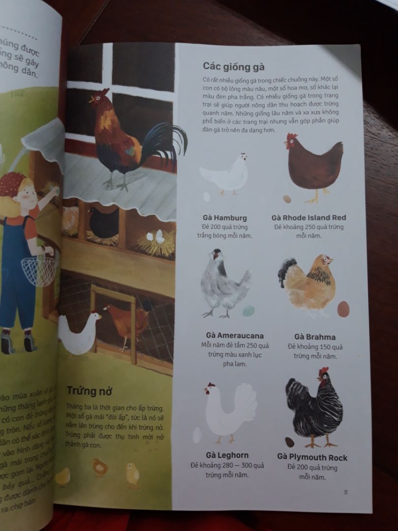 sách rất đẹp, tiki giao hàng nhanh, hình vẽ đáng yêu, khổ sách lớn nên rất thu hút