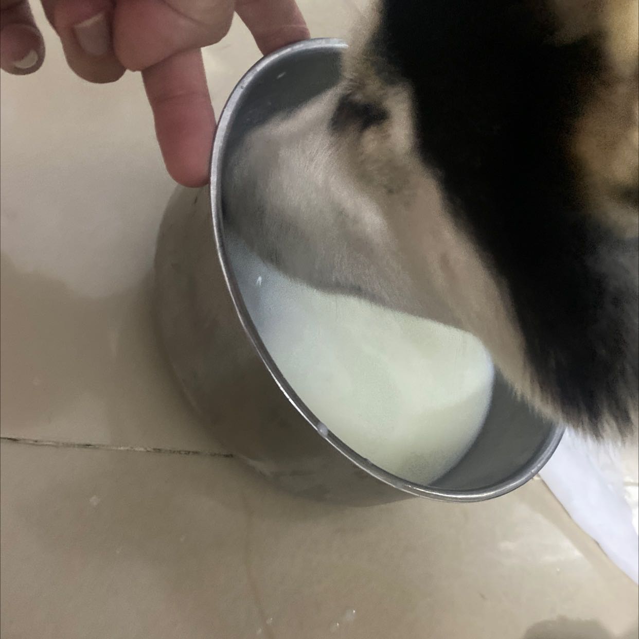 chất lượng sản phẩm tốt shop trả lời nhanh