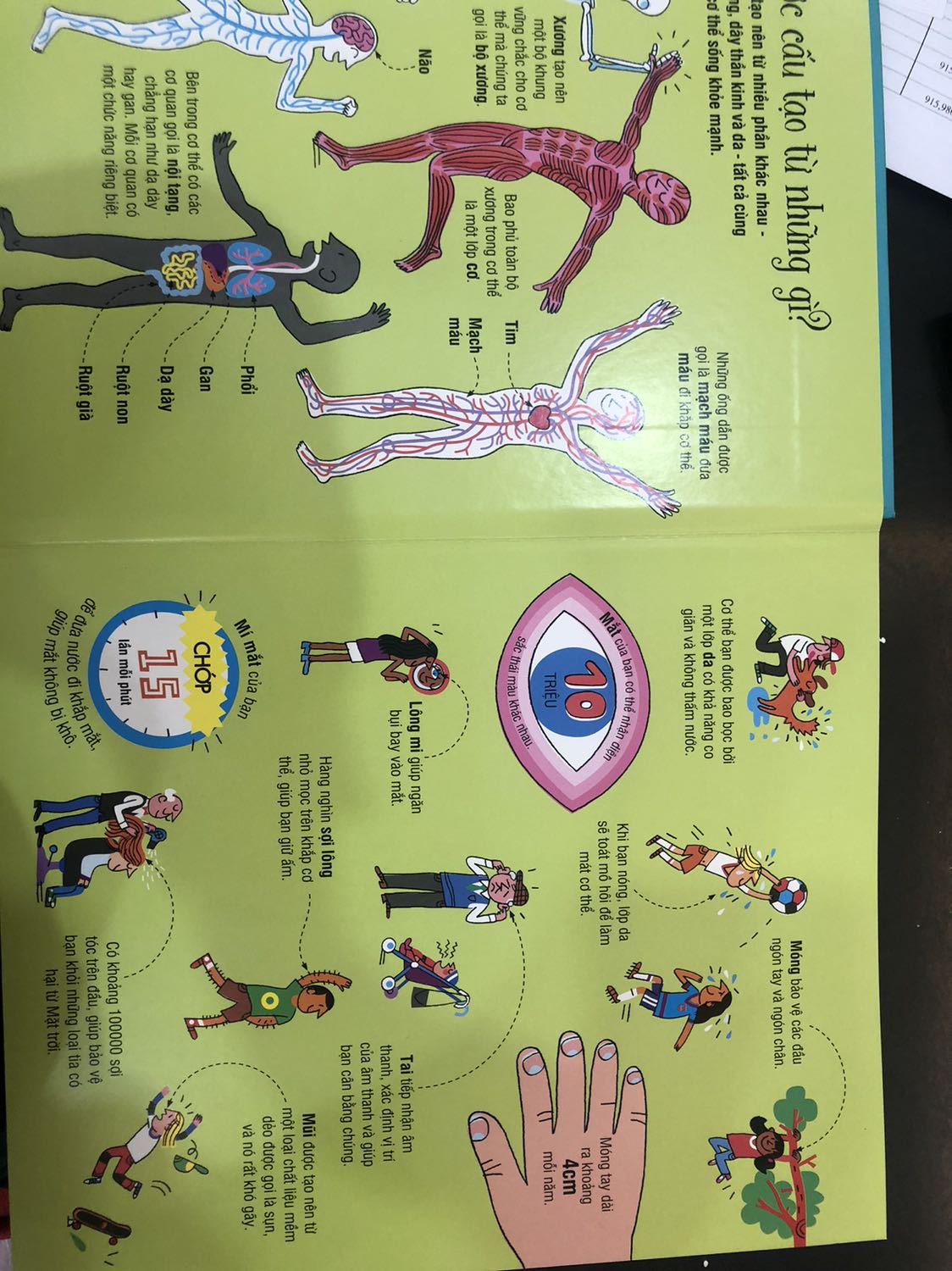 Sách đẹp. Bạn Gấu chắc mê tít