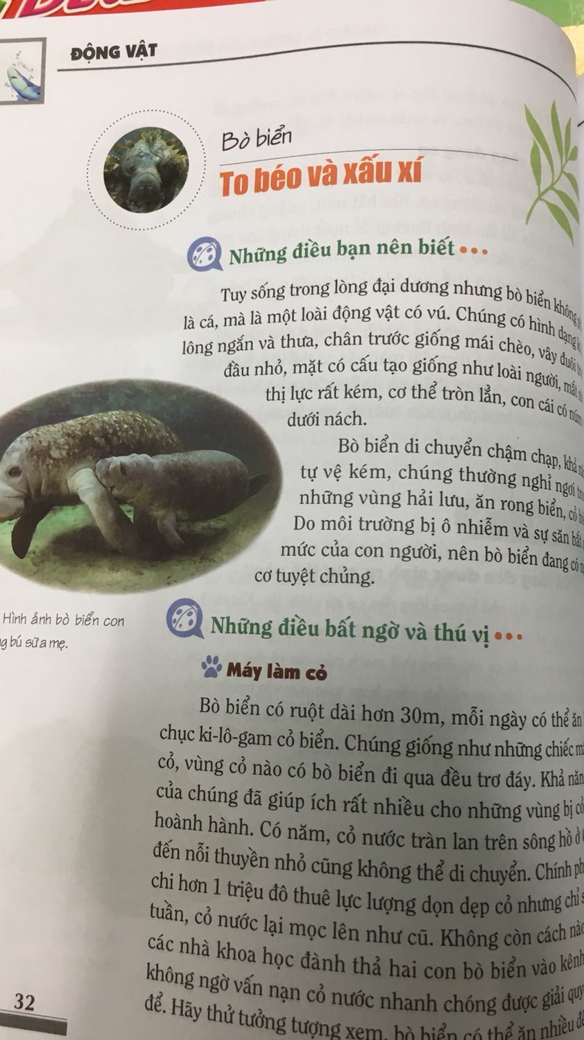 Sách hay và nhiều hình ảnh nữa, có thêm nhiều điều mới hay lắm, mê lắm