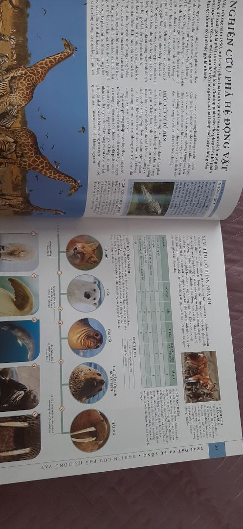 giao hành nhanh, sách dày, ảnh đẹp, to, rõ, đọc dễ hiểu, hơi nặng nha mn :))), nên mua nha mn