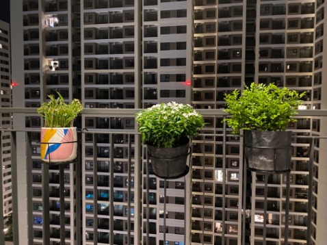 Rất hài lòng! Chậu chắc chắn- đẹp! Giao hàng cẩn thận!