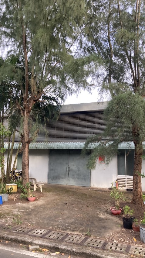 Thơm ngon lắm. Cây non mới trồng thì phải