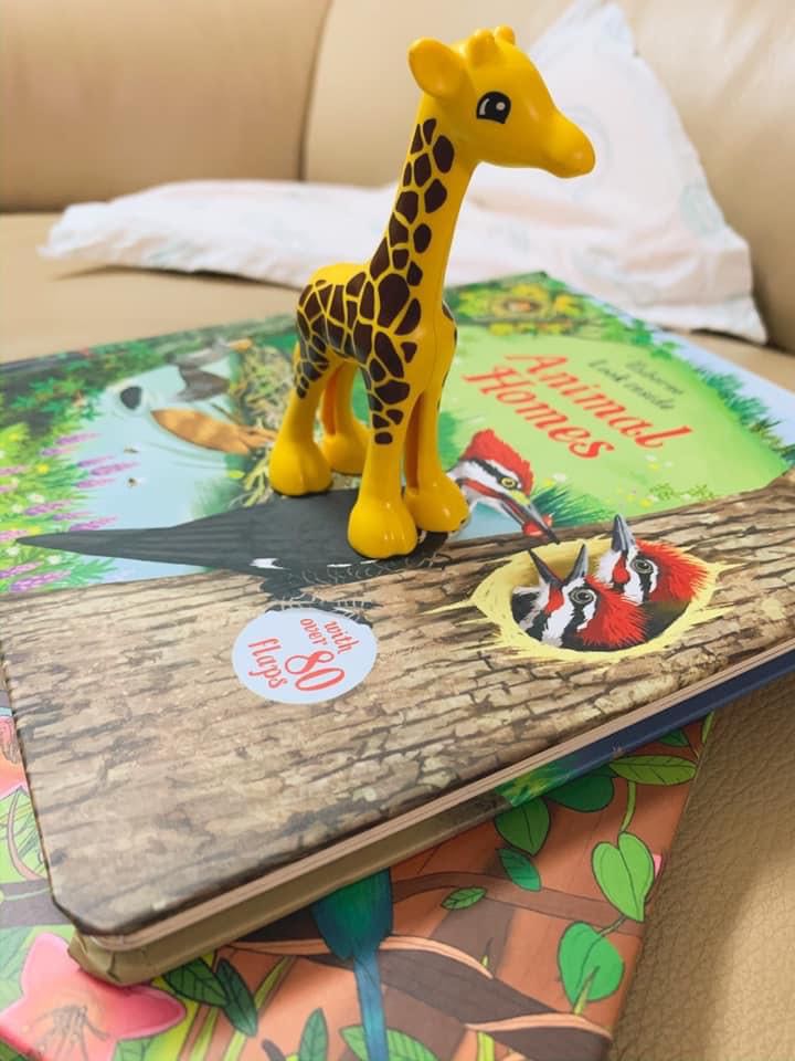 Sách của Usborne không làm mình thất vọng bao giờ. Sách nước ngoài tuy không dịch ra tiếng Việt nhưng hình ảnh đẹp, chất lượng giấy cứng rất đã. Con mình rất thích những chủ đề về thiên nhiên ở sách này.